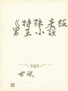 《特殊老板》双男主小说