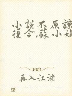 小说不原谅,不复合,苏小姐独美