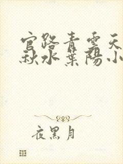 官路青云天骄余秋水叶阳小说在线阅读