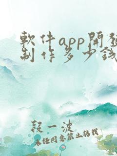 软件app开发制作多少钱