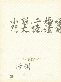 小说,二婚嫁豪门大佬,渣前夫失了控