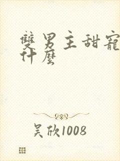 双男主甜宠文是什么