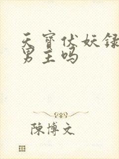 天宝伏妖录是双男主吗