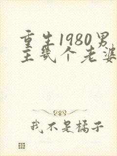 重生1980男主几个老婆