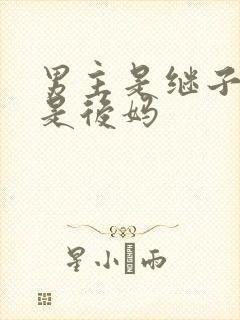 男主是继子女主是后妈