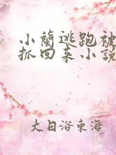 小兰逃跑被新一抓回来小说