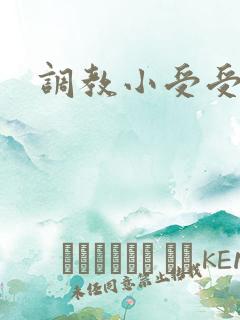 调教小受受