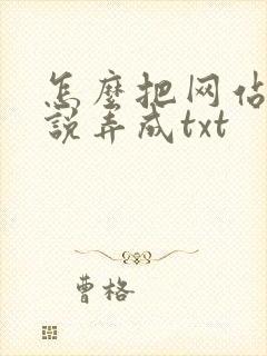 怎么把网站的小说弄成txt