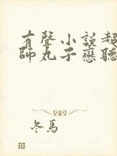 有声小说超品相师丸子恋听网