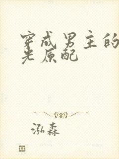 穿成男主的白月光原配