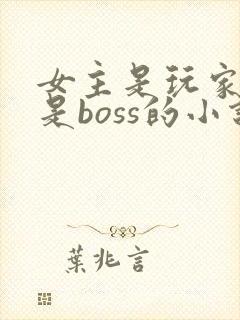 女主是玩家男主是boss的小说