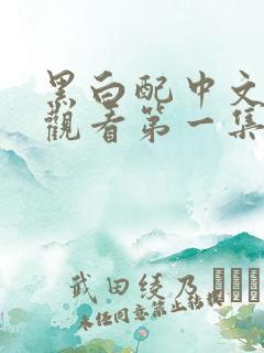 黑白配中文在线观看第一集