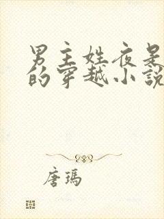 男主姓夜是魔帝的穿越小说