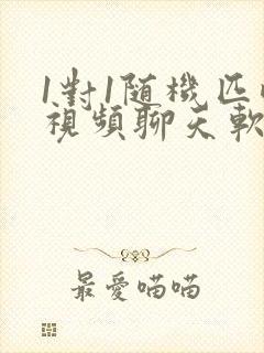 1对1随机匹配视频聊天软件