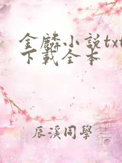 金麟小说txt下载全本