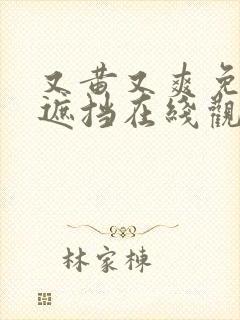 又黄又爽免费无遮挡在线观看