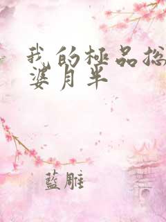 我的极品总裁老婆月半