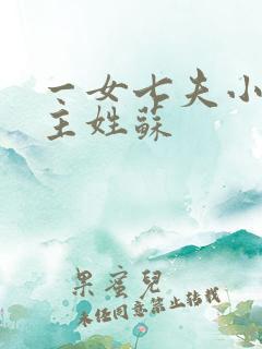 一女七夫小说女主姓苏