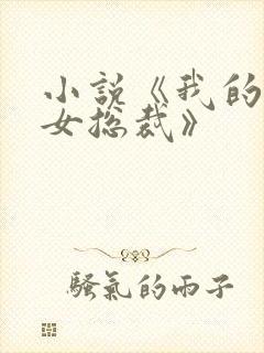 小说《我的冰山女总裁》