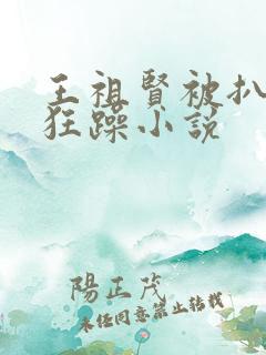 王祖贤被扒开腿狂躁小说