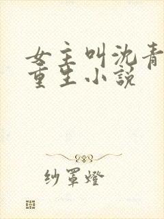 女主叫沈青鸾的重生小说