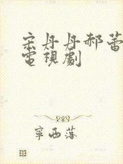 宋丹丹郝蕾演的电视剧