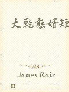 大乾憨婿短剧版