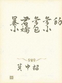 暴君爹爹的团宠小娇包小