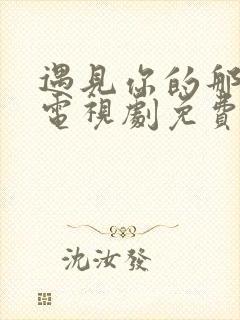 遇见你的那一天电视剧免费观看高清