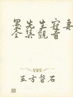 墨先生宠妻无度全集观看