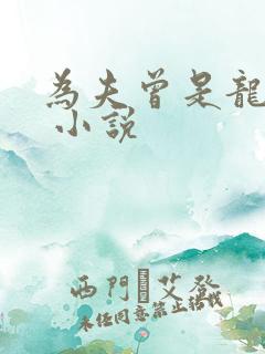 为夫曾是龙傲天 小说