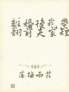 离婚后我带娃虐翻前夫家短剧全集免费观看