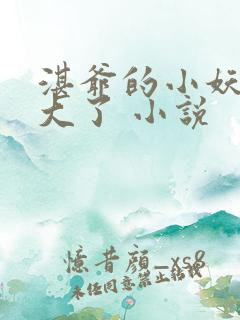 湛爷的小妖精长大了 小说