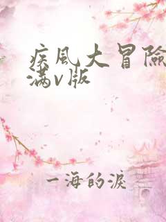 疾风大冒险手游满v版