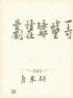 爱情睡醒了电视剧在哪里可以看