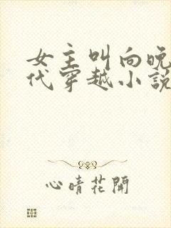 女主叫向晚的古代穿越小说