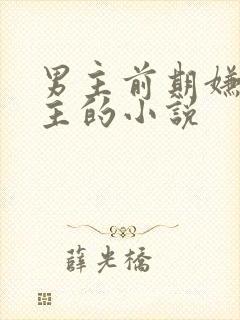 男主前期嫌弃女主的小说