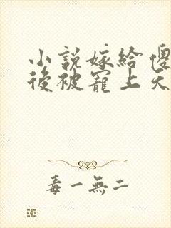 小说嫁给傻王爷后被宠上天