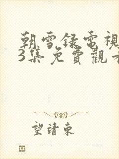 朝雪录电视剧23集免费观看