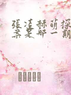 张凌赫萌探探探案是哪一期