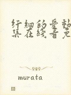 纤细的爱动漫全集在线看免费