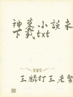 神墓小说未删版下载txt