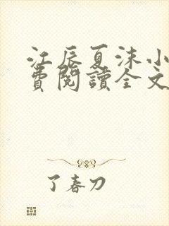 江辰夏沫小说免费阅读全文最新章节