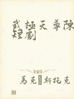 武极天尊陈天极短剧