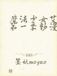 魔法少女艾蕾娜第一季动漫