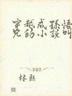 穿越成孙悟空师兄的小说叫什么