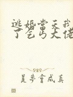 逃婚当天我闪婚了乞丐大佬