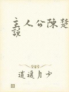 主人公陈楚的小说