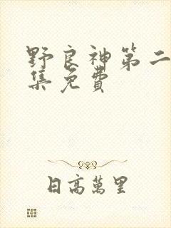 野良神第二季全集免费