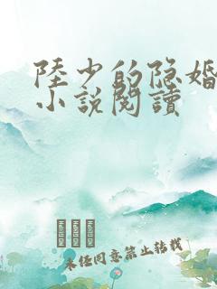 陆少的隐婚罪妻小说阅读